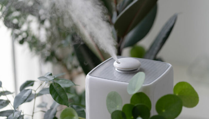 HEPA Air Purifiers to Look Out for this Black Friday