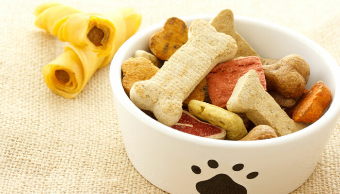 How to keep pets safe from food allergies