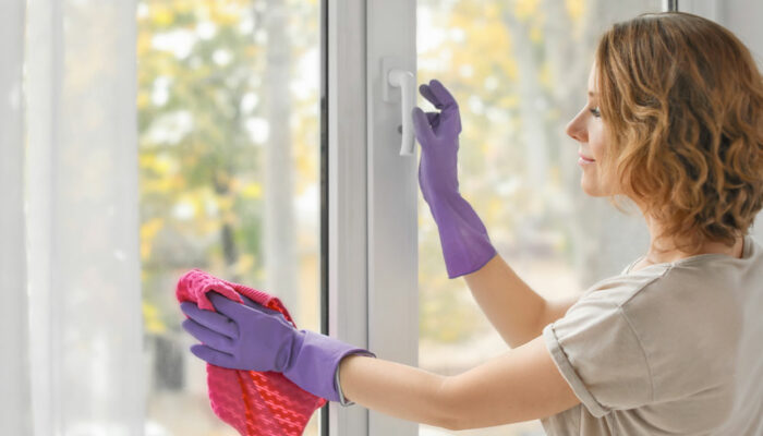 Simple Methods to Clean Windows