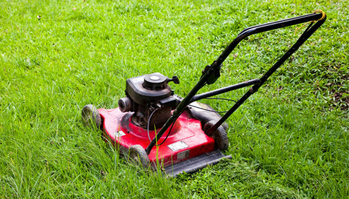 Top 10 Lawn Mower Deals to Expect on Black Friday