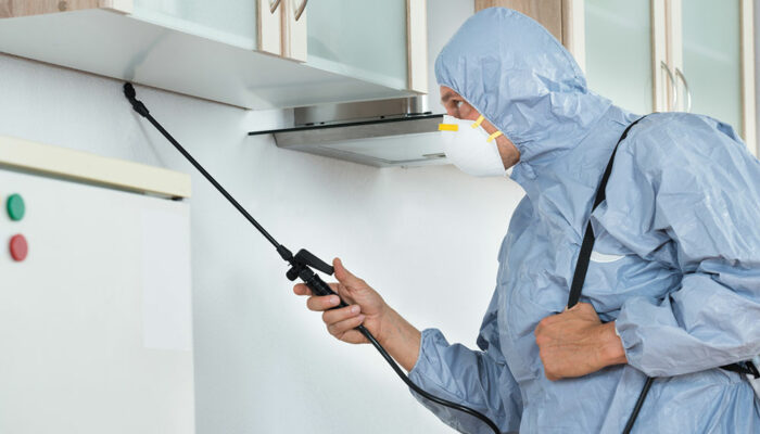 A guide to getting the right pest control done