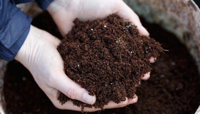 Top 7 organic fertilizers for the garden