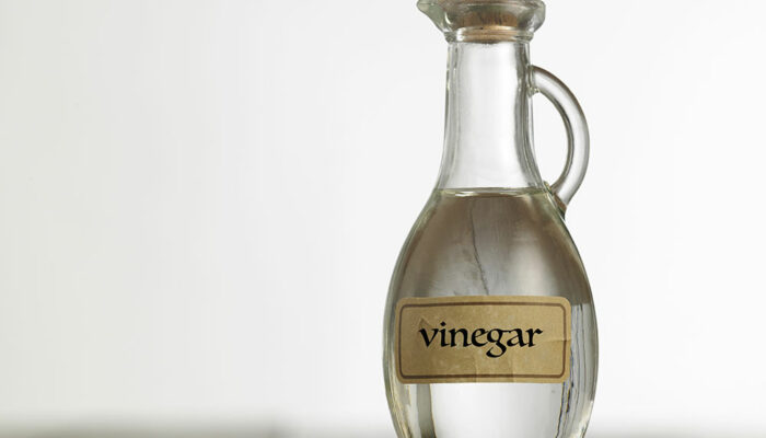 White Vinegar for Ant Control &#8211; How It Works and Ways to Use