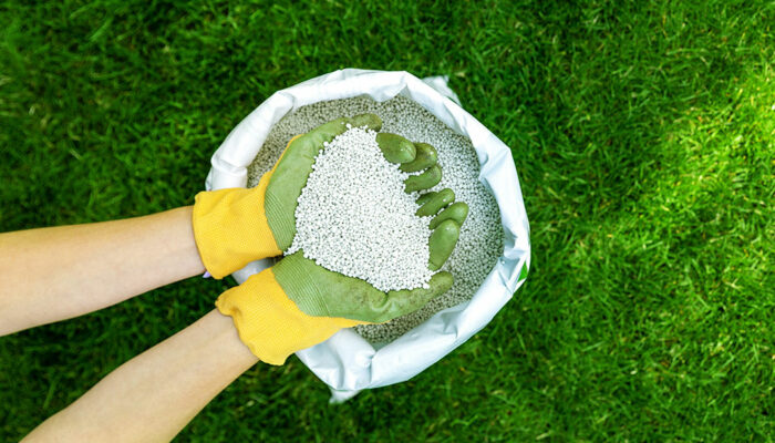 A Complete Guide to Lawn Fertilization