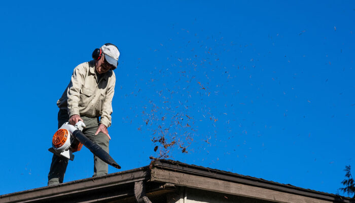 Top 6 Leaf Blowers for Gutter Cleaning