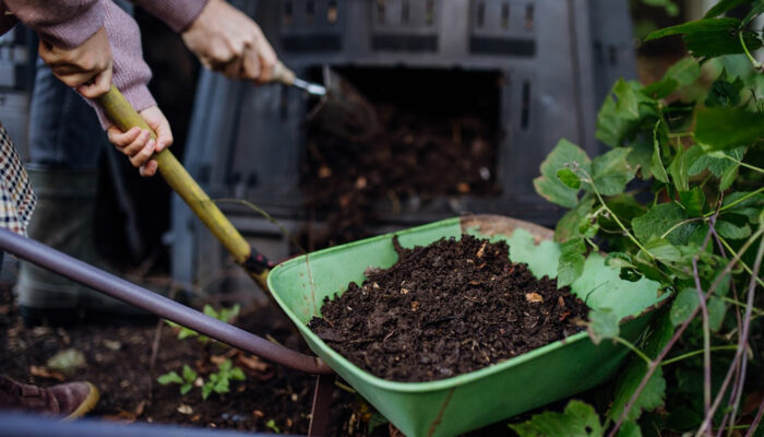 Top 10 Natural Fertilizers for Hydrangeas