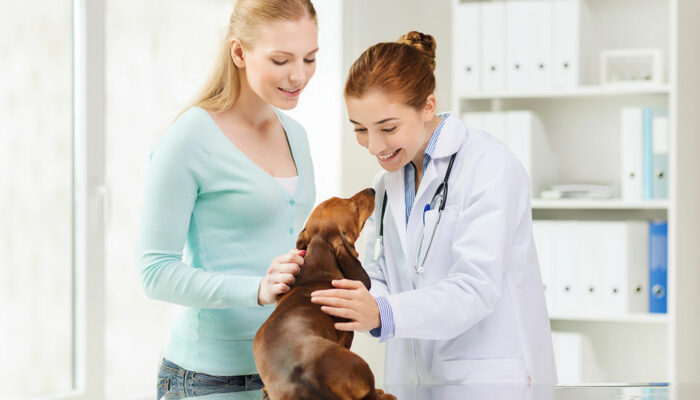 Benefits and Basics of Pet Care