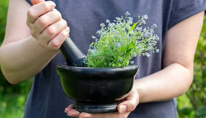 Steps to Grow Herbs Indoors in Water