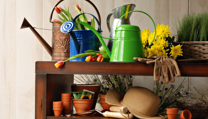 Tips for Choosing the Right Garden Supplies