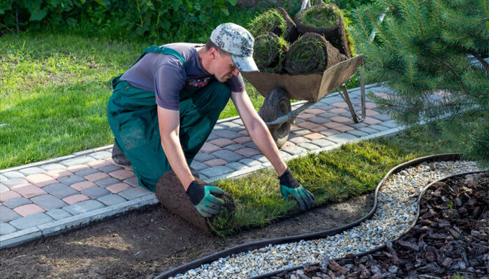 Landscaping Services &#8211; Types, Benefits, and Tips to Consider