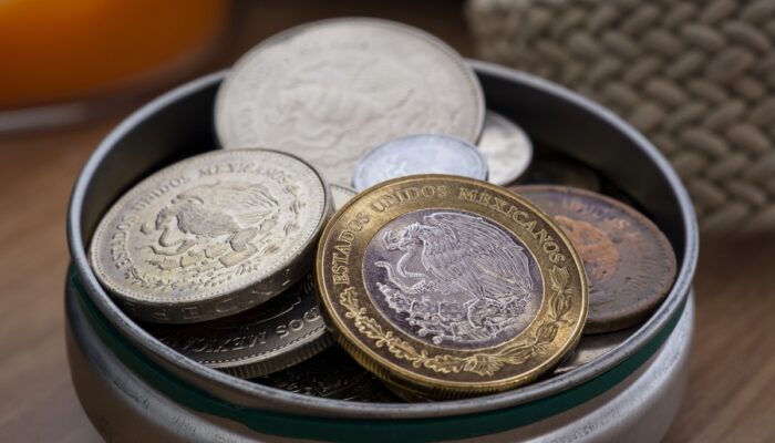 Mexican Valuable Coins: Treasures from the Past