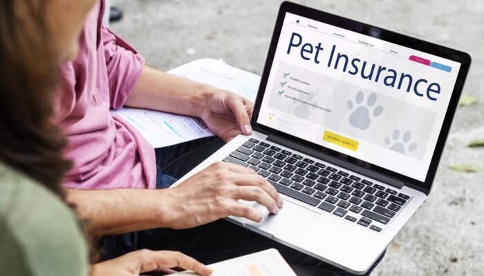 Pet Insurance Companies In India: Protecting Your Furry Friends